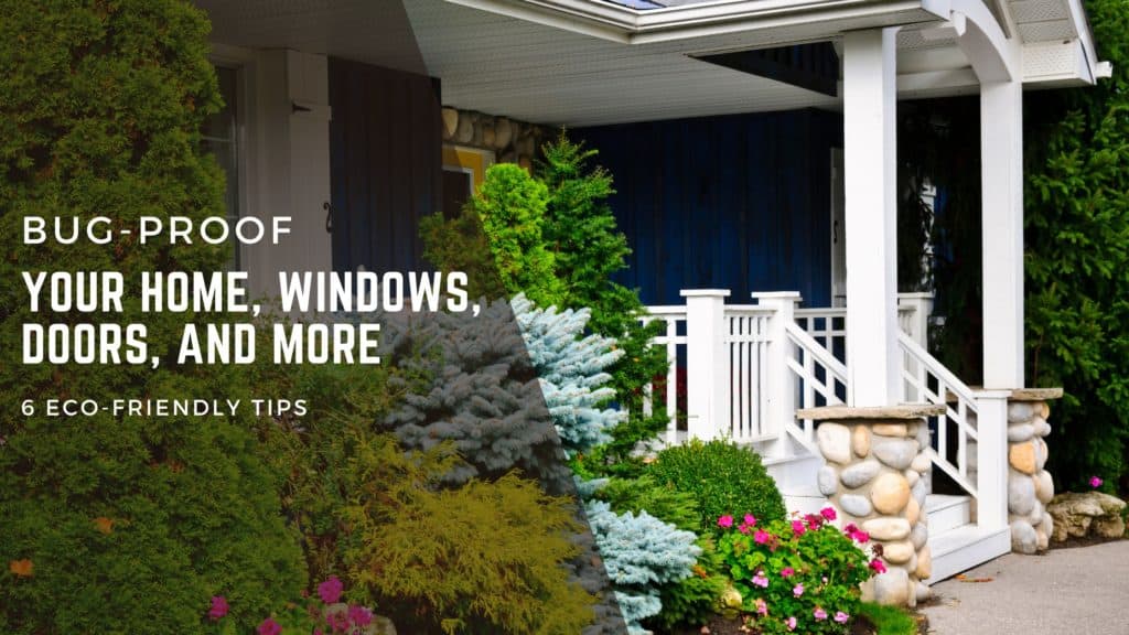 Tips for Bug Proofing Your Home Blue Springs Siding and Windows